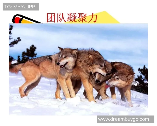 西安乒乓球队意识变革引发热议推动竞技水平提升与团队凝聚力增强 西安乒乓球队意识变革引发热议推动竞技水平提升与团队凝聚力增强