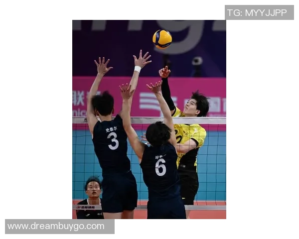 杭州排球队在挑战赛中的力量与技巧展现全景点评