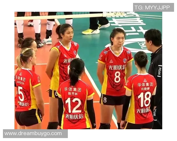 武汉排球队与上海排球队耐力对决赛后分析与反思 武汉排球队与上海排球队耐力对决赛后分析与反思