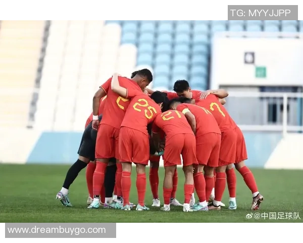 北京排球队的反击革新之路：重塑战术与团队精神的全新探索