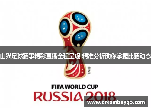 山猫足球赛事精彩直播全程呈现 精准分析助你掌握比赛动态