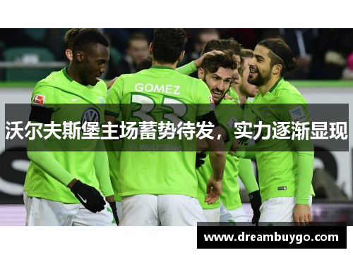 沃尔夫斯堡主场蓄势待发，实力逐渐显现