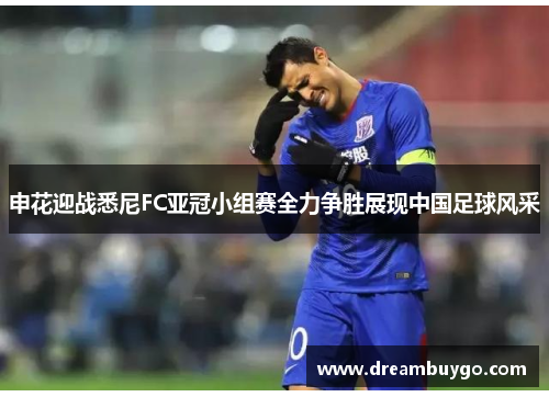 申花迎战悉尼FC亚冠小组赛全力争胜展现中国足球风采