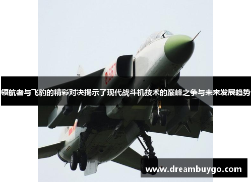 领航者与飞豹的精彩对决揭示了现代战斗机技术的巅峰之争与未来发展趋势